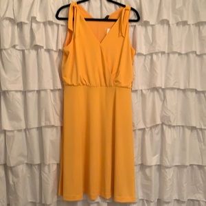 Ann Taylor Dress NWT